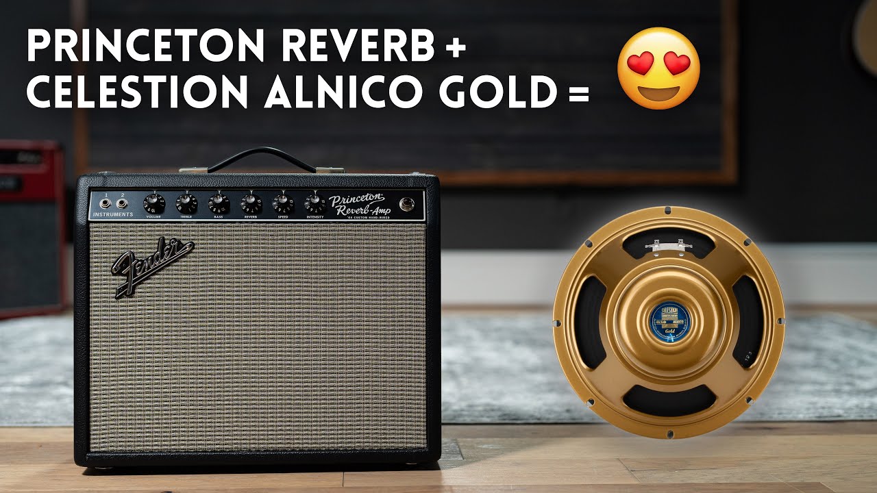 We Put An Alnico Gold Speaker In Our Princeton Reverb